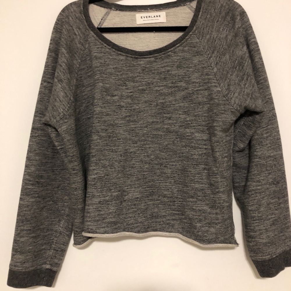 Everlane Cropped Sweatshirt